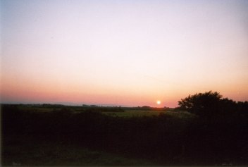 taken late in the evening outside my home